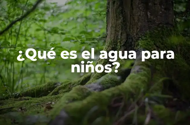 ¿qué es el Agua para Niños?
