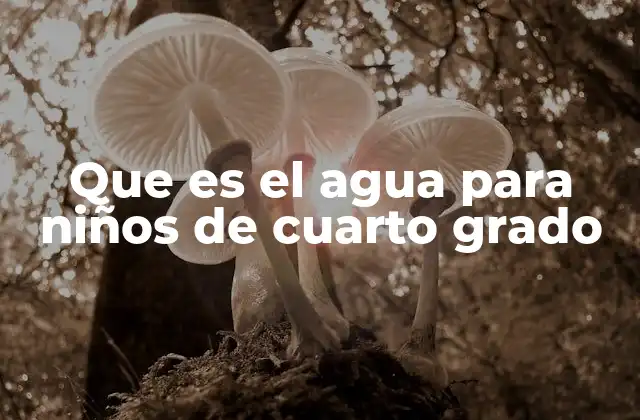 Que es el Agua para Niños de Cuarto Grado