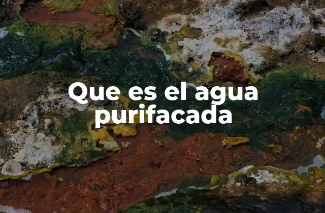 Que es el Agua Purifacada