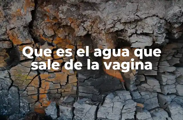 Que es el Agua que Sale de la Vagina