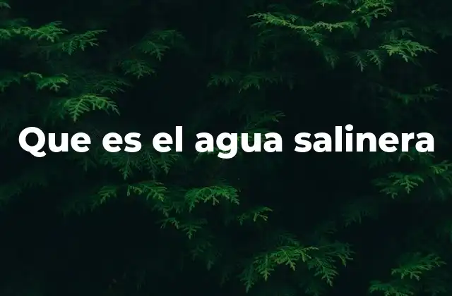 Que es el Agua Salinera