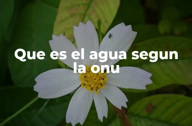 Que es el Agua Segun la Onu