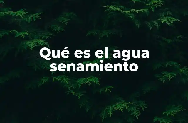 La percepción del agua como clave para su gestión sostenible