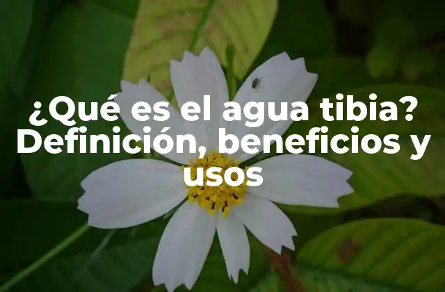 ¿qué es el Agua Tibia? Definición, Beneficios y Usos