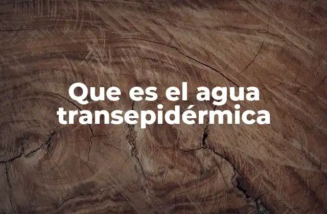 Que es el Agua Transepidérmica