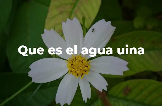 Que es el Agua Uina