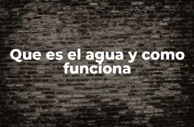 Que es el Agua y como Funciona