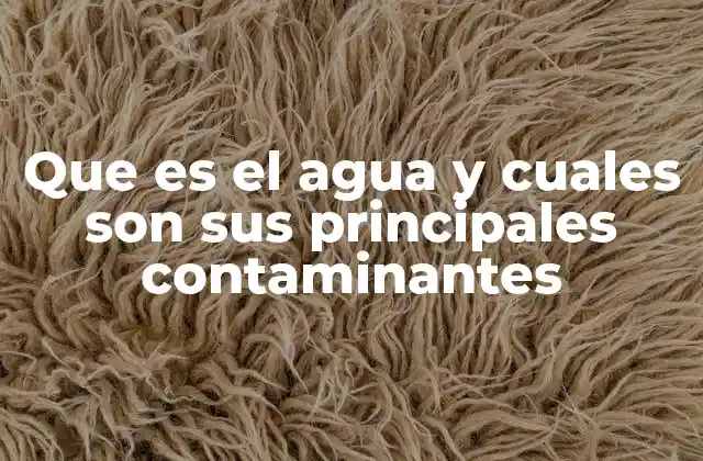 Que es el Agua y Cuales Son Sus Principales Contaminantes
