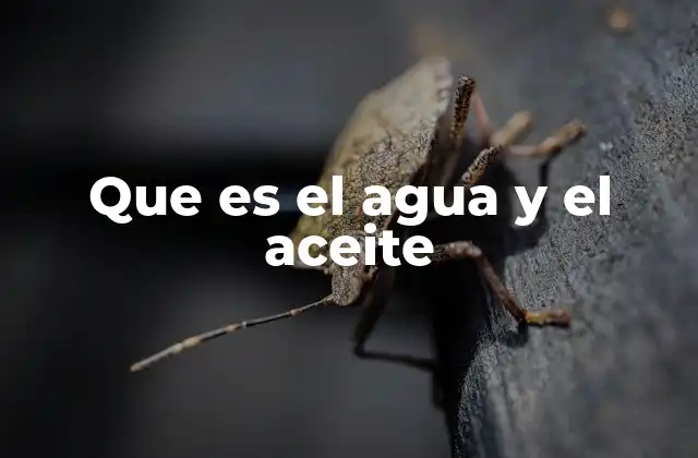 Que es el Agua y el Aceite