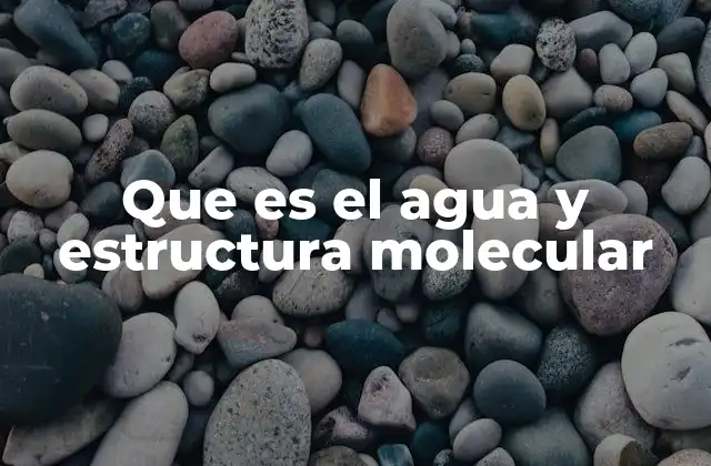 Que es el Agua y Estructura Molecular