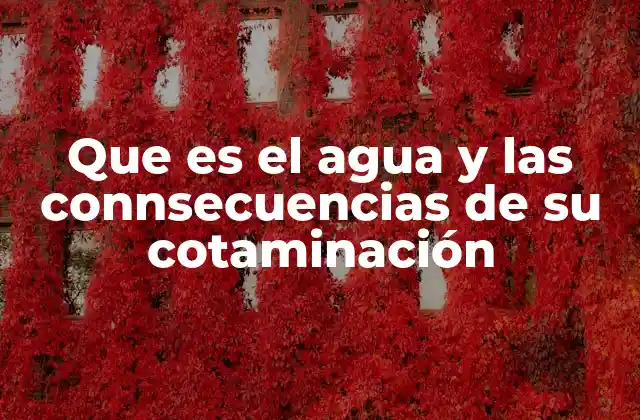 Que es el Agua y las Connsecuencias de Su Cotaminación