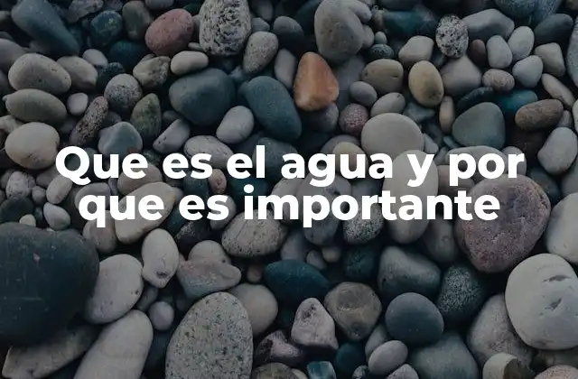 Que es el Agua y por que es Importante