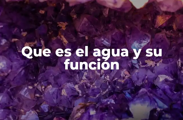 Que es el Agua y Su Función 2 El papel del agua en la vida biológica