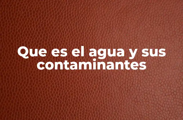 Que es el Agua y Sus Contaminantes 2 La importancia del agua en el medio ambiente y la vida humana