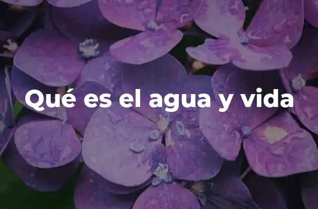 Qué es el Agua y Vida