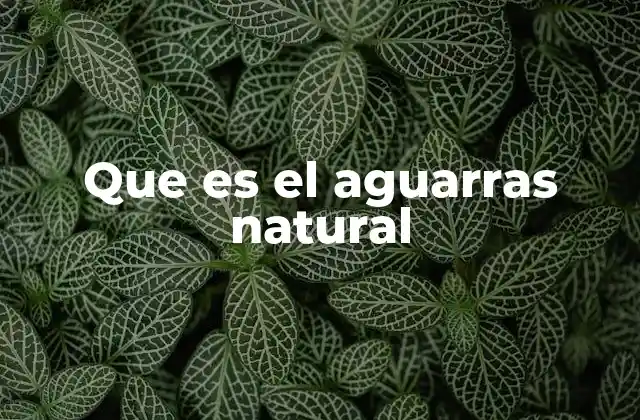 Que es el Aguarras Natural