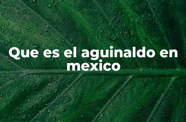 Que es el Aguinaldo en Mexico