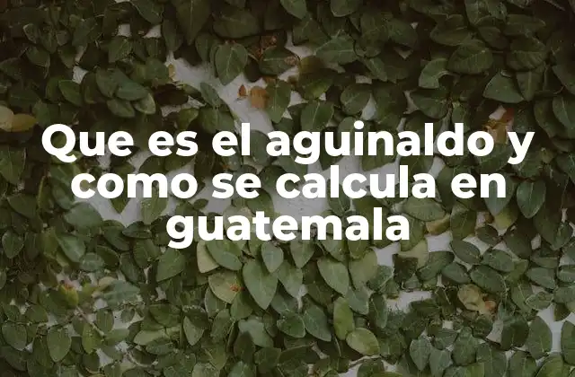 Que es el Aguinaldo y como Se Calcula en Guatemala 2 El aguinaldo como un derecho fundamental para los trabajadores guatemaltecos