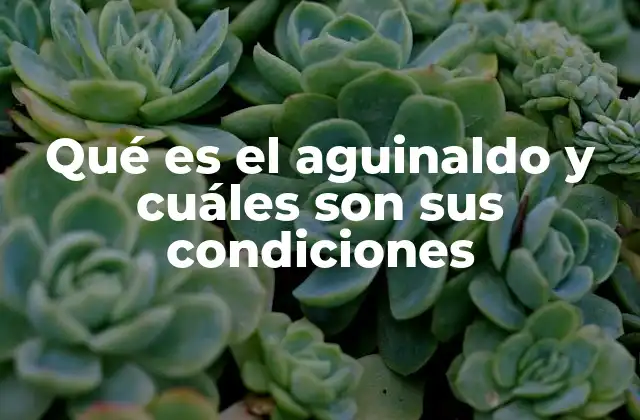 Qué es el Aguinaldo y Cuáles Son Sus Condiciones