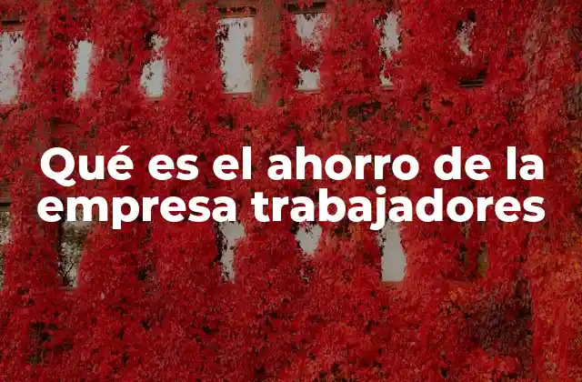 Qué es el Ahorro de la Empresa Trabajadores
