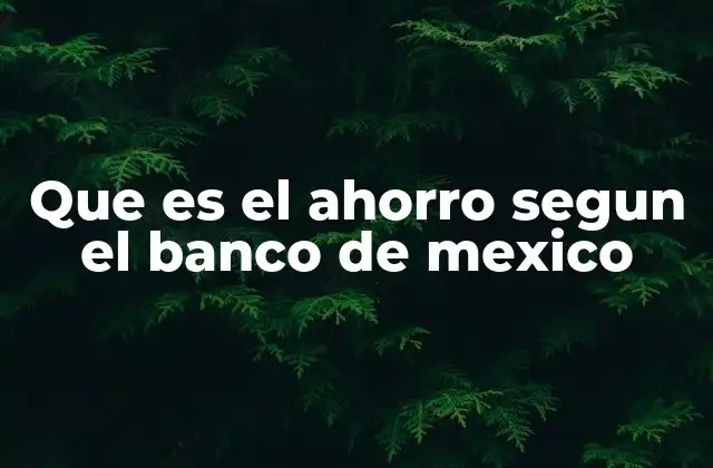 Que es el Ahorro Segun el Banco de Mexico