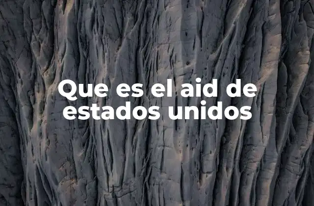 Que es el Aid de Estados Unidos