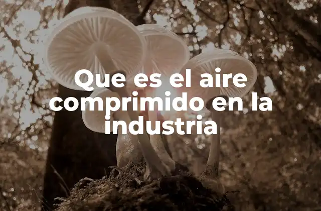 Que es el Aire Comprimido en la Industria 2 Aplicaciones del aire comprimido en diferentes sectores industriales
