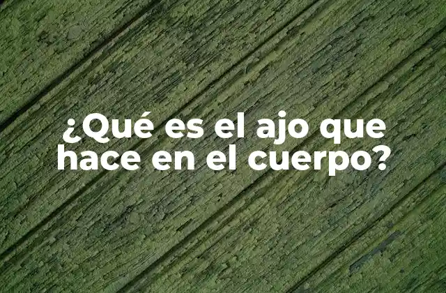 ¿qué es el Ajo que Hace en el Cuerpo?