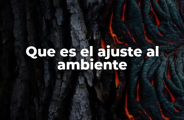 Que es el Ajuste Al Ambiente