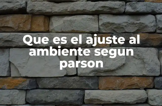 La importancia del equilibrio entre sistema y entorno