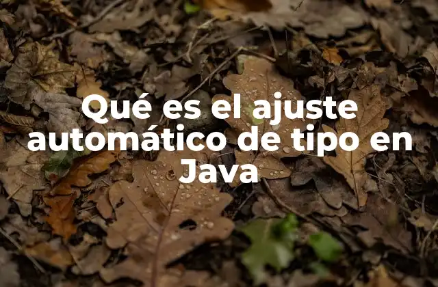 Qué es el Ajuste Automático de Tipo en Java
