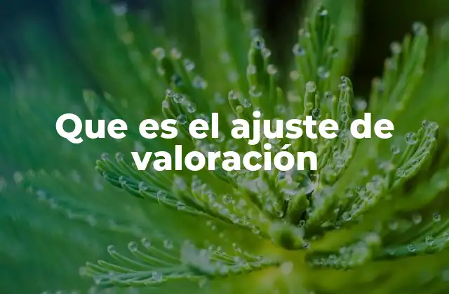 Que es el Ajuste de Valoración