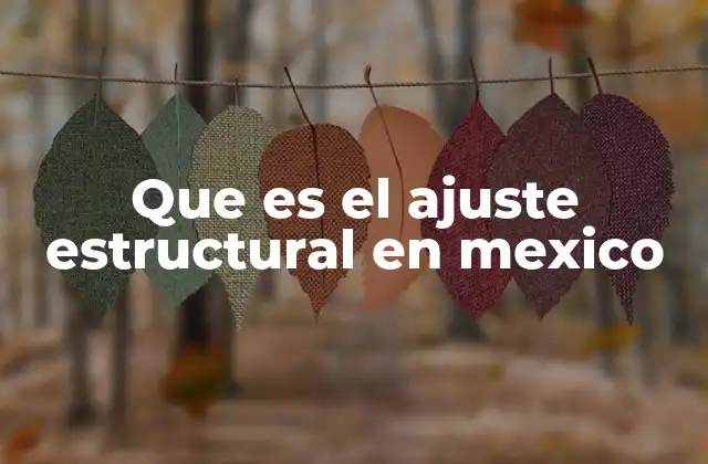 Que es el Ajuste Estructural en Mexico