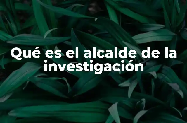 Qué es el Alcalde de la Investigación