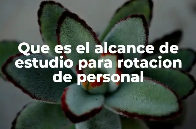 Que es el Alcance de Estudio para Rotacion de Personal