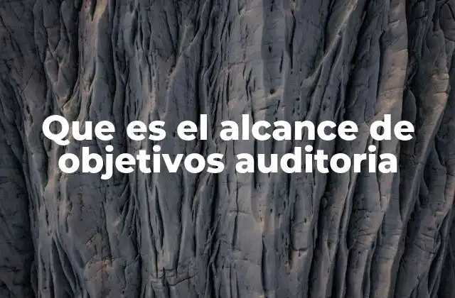 Que es el Alcance de Objetivos Auditoria