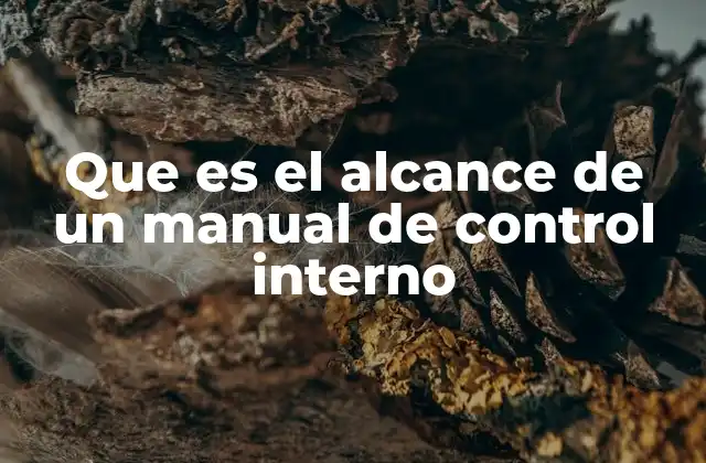 Que es el Alcance de un Manual de Control Interno