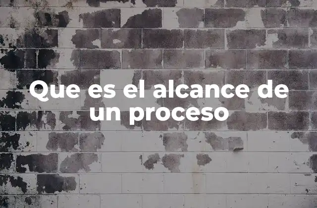 Que es el Alcance de un Proceso