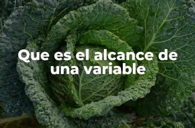 Que es el Alcance de una Variable