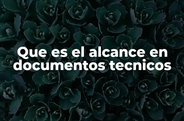 Que es el Alcance en Documentos Tecnicos