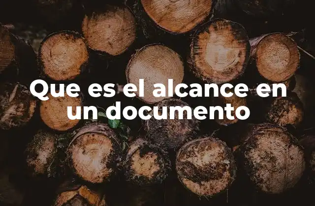 Que es el Alcance en un Documento