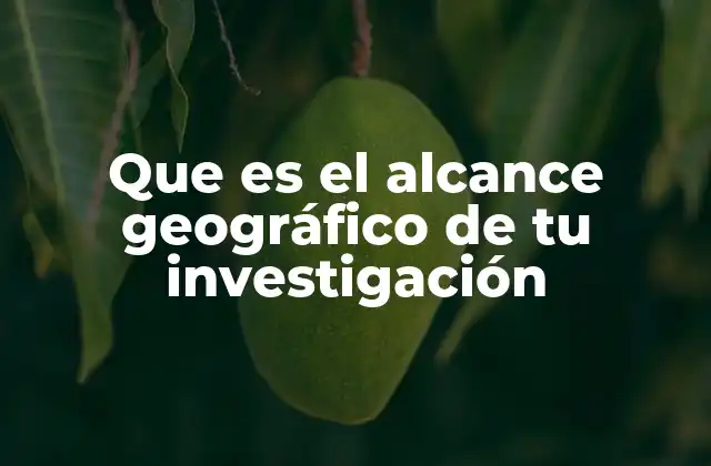 Que es el Alcance Geográfico de Tu Investigación