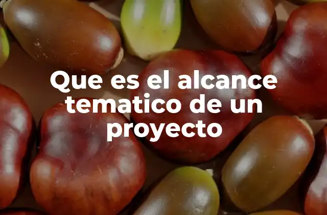 Que es el Alcance Tematico de un Proyecto