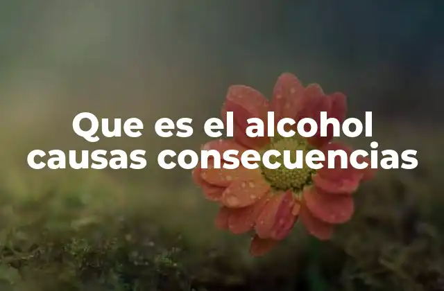Que es el Alcohol Causas Consecuencias