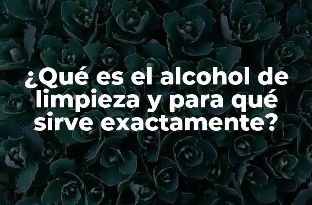 ¿qué es el Alcohol de Limpieza y para Qué Sirve Exactamente?