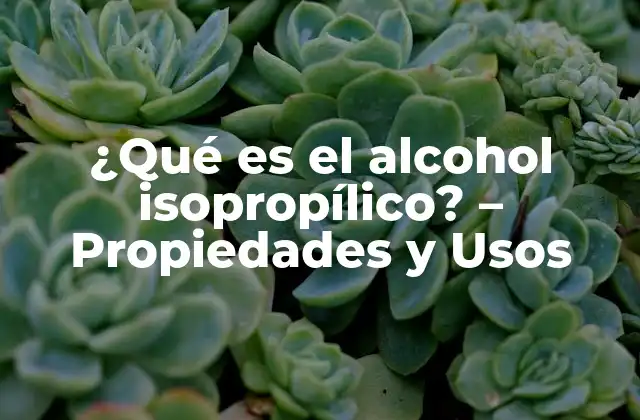 Composición química del alcohol isopropílico
