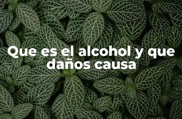 Que es el Alcohol y que Daños Causa