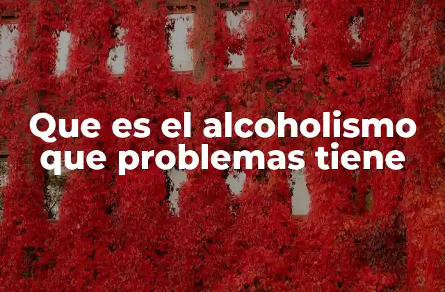 Que es el Alcoholismo que Problemas Tiene