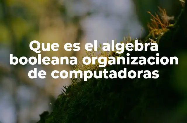 Que es el Algebra Booleana Organizacion de Computadoras