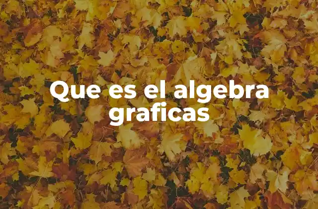 Que es el Algebra Graficas